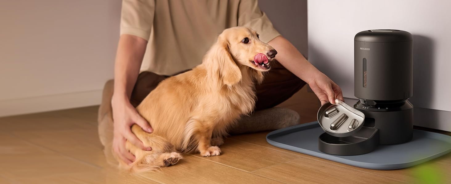 Dog slow feeder