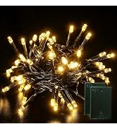 Jatlukbaat 2 Pack Battery Operated String Lights - 9.8ft 30 LEDs Battery String Lights with Timer...