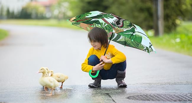 kids umbrella