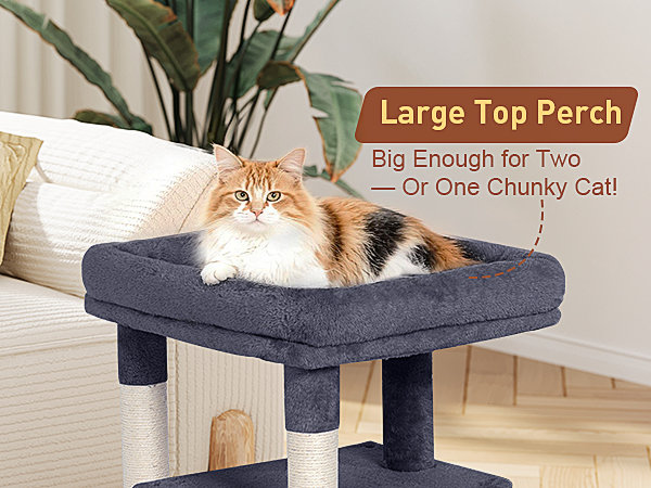 cat tree for large cats
