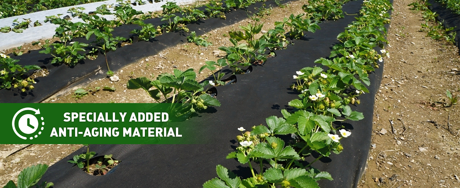 UV resistant weed barrier fabric supports healthy plant growth and prevents weeds in gardens