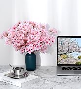 pink cherry blossom branches
