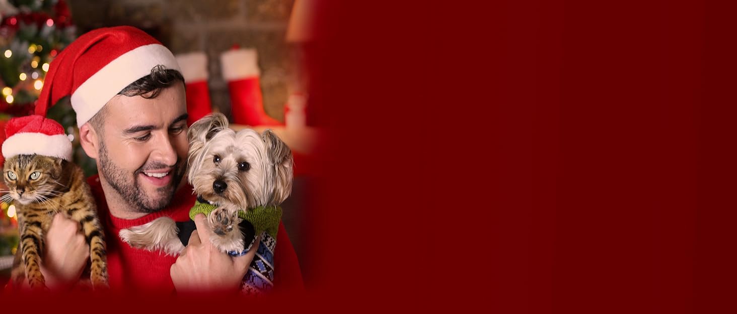 brand story banner xmas