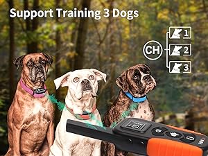vibrating dog collar no shock small dog, dog collar that beeps and vibrates no shock