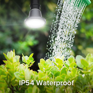 IP54 Waterproof