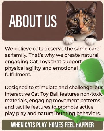 "About Us" graphic with a tortoiseshell cat, mission statement, and a green interactive toy ball.