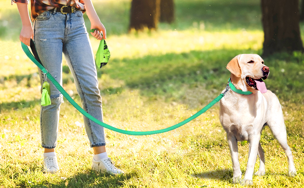 dog leash large dogs