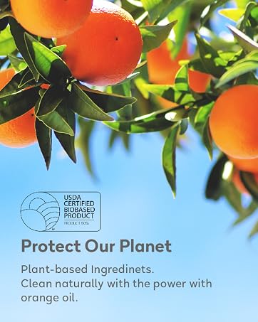 orange house, detergent, hand wash, hand soap, plant based, natural, orange