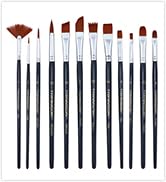 Transon 12pcs Professional Paint Brush Set