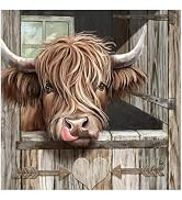 DIADAY Highland Cow Diamond Art Kits for Adults, Rustic Farmhouse Diamond Painting Kits, 5D Full ...