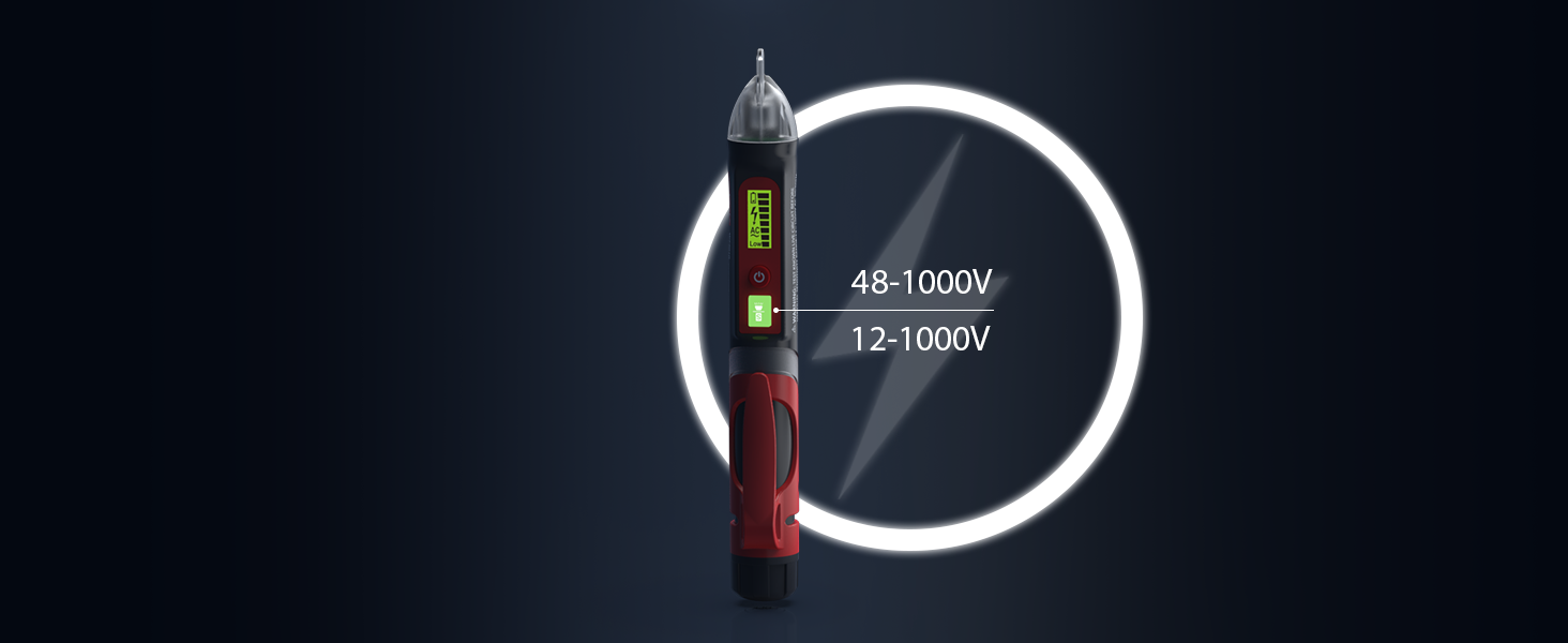 dual range voltage detector