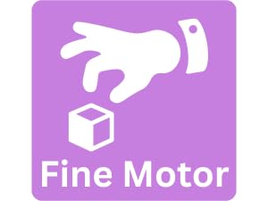 fine motor graphic for sensationally OT