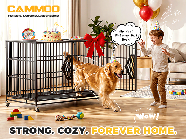 dog kennel indoor