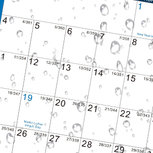 Dry Erase Calendar