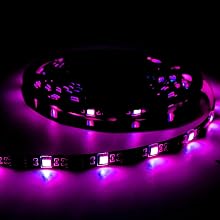 Purple show