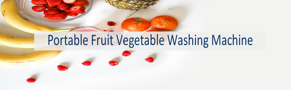 Fruit and Vegetable Cleaner Device