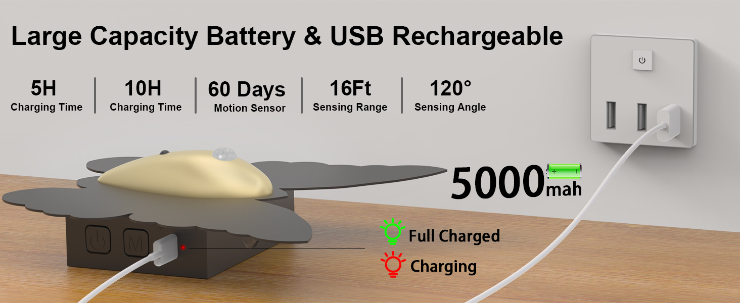 Rechargeable wall sconce