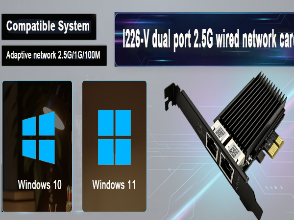 2.5g dual port wired network card