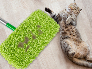 swiffer wet pads