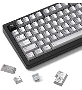 womier Metal Paint Textured Mechanical Keyboard Keycaps, Retro Dye Sub & Double Shot PBT Keycaps ...