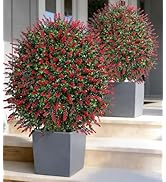 HyeFlora 26'' Artificial Boxwood Topiary Trees with Lavender 2 Pack Fake Plants for Outdoor Indoo...