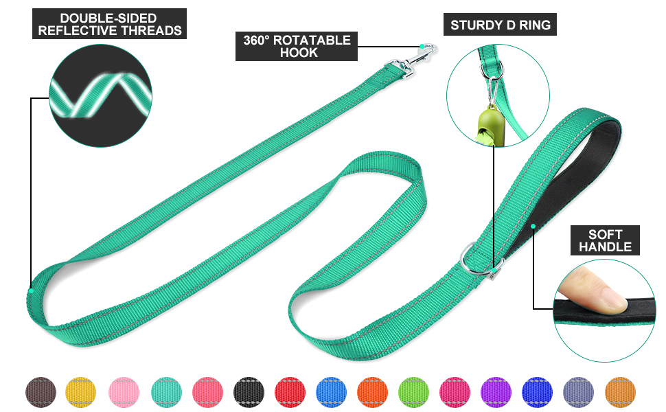dog leash details
