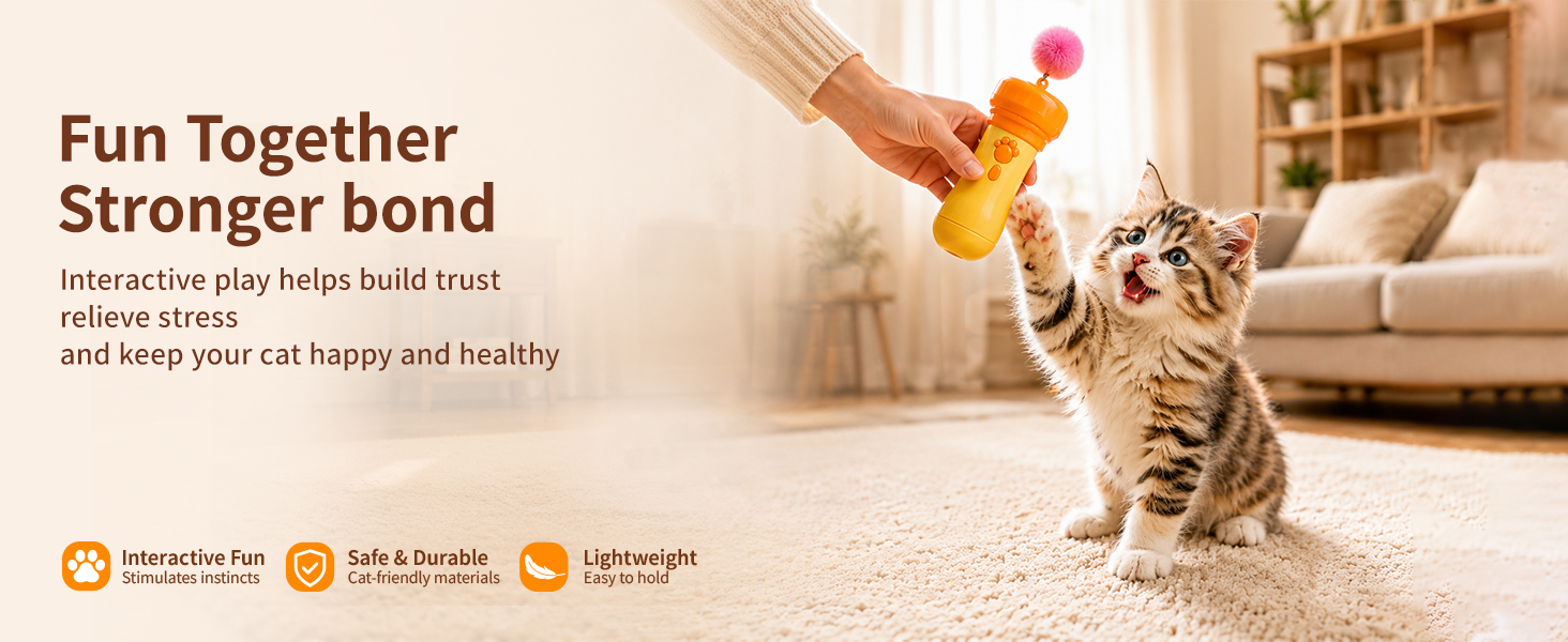 cat feather toy