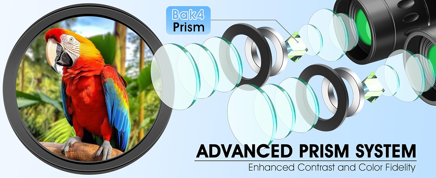 BAK4 prism