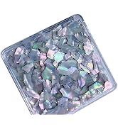 Jewelry Shell Irregular Breakable Abalone Slices Shells Decoration for Tips Jewelry Beauty Decora...