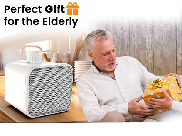 wired speakers