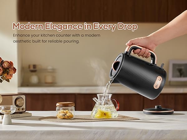 OLEGA Electric Kettle