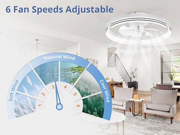 6 Fan Speeds