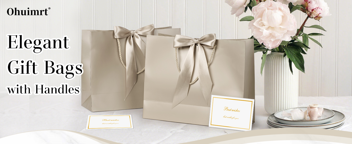 gift bag with handles