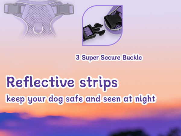 reflective small dog harnss and leash