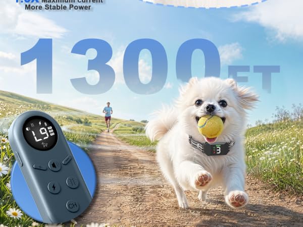 Small Shock Collar for Dogs