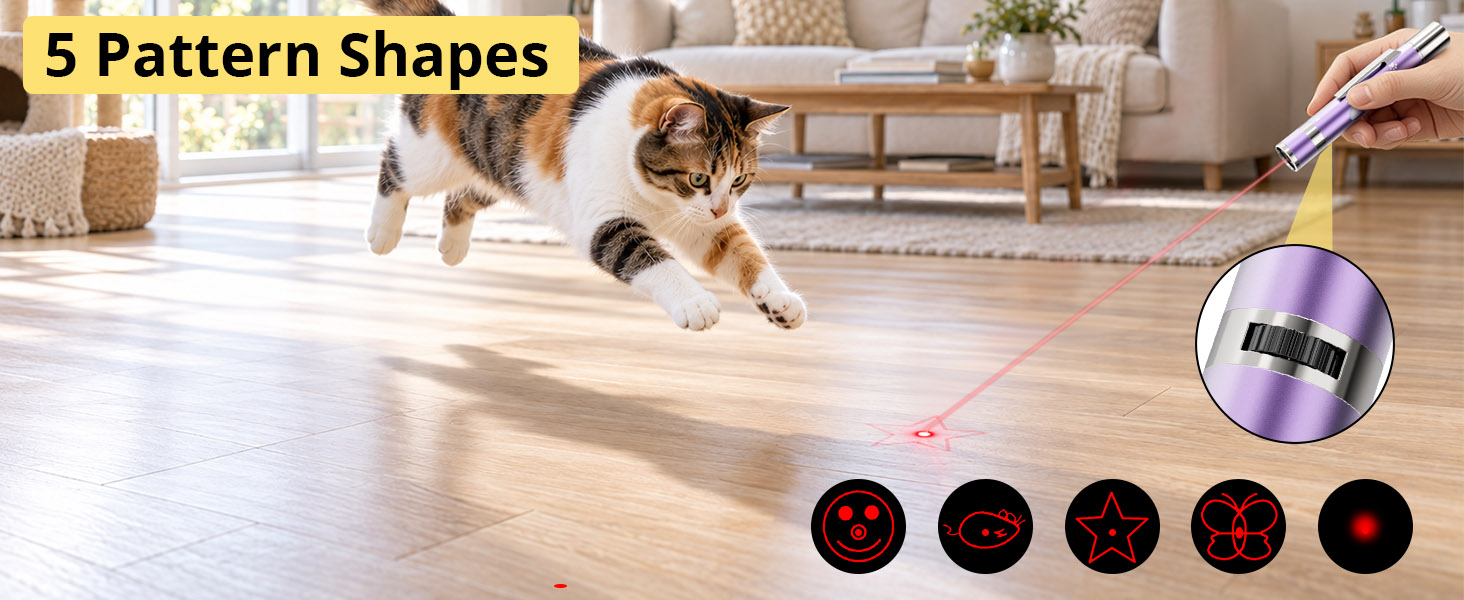 interactive cat toy