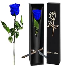 https://m.media-amazon.com/images/I/41OOVhO-w6L.__AC_SR200,225___.jpg