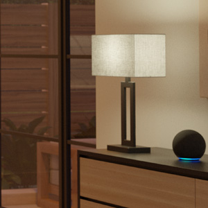 Globe Electric 50589 Works With Alexa Only Wi-Fi Smart RGB Tunable LED Light Bulb, Custom Moods