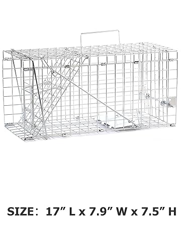Live Squirrel Trap