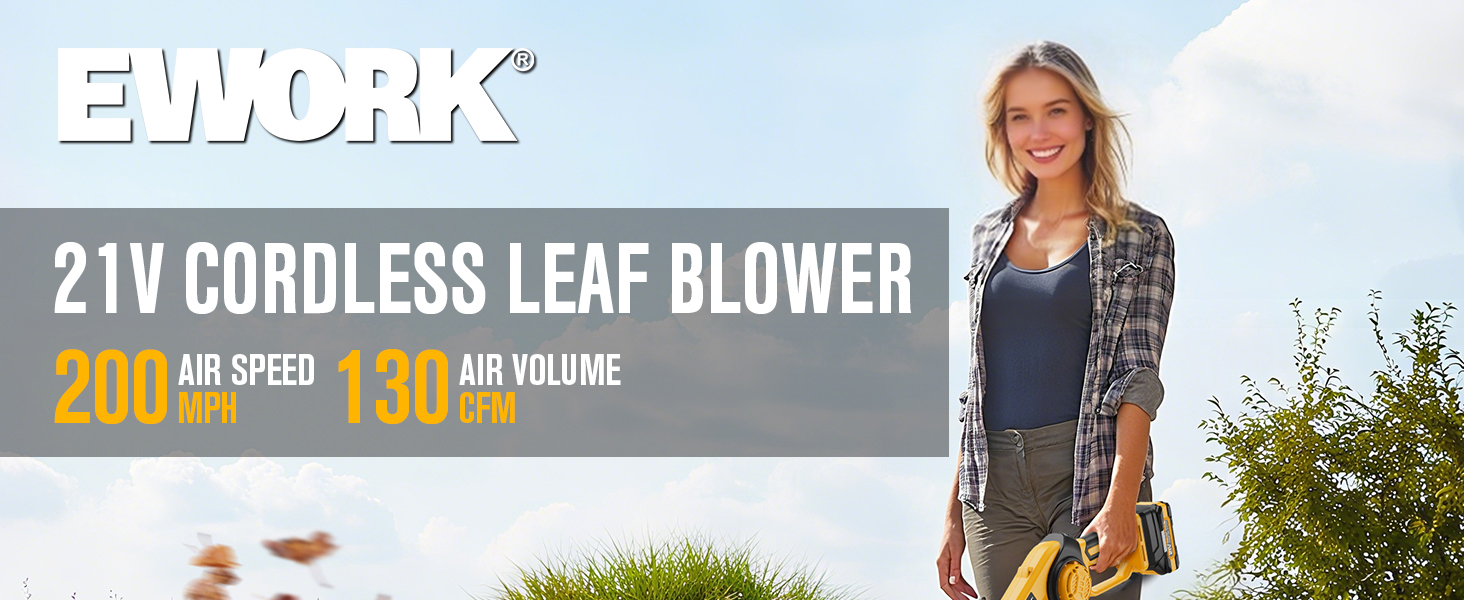 21V Cordless Leaf Blower