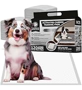 American Kennel Club Charcoal Puppy Training Pads, with Anti-Slip Adhesive Backing, Quick Dry Gel...