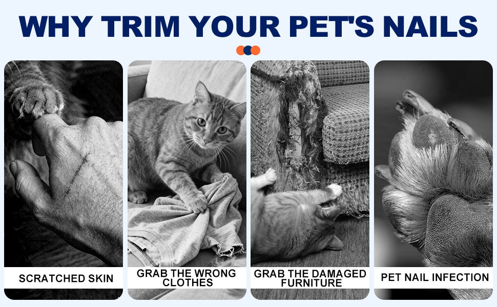 Reasons for trimming pet nails
