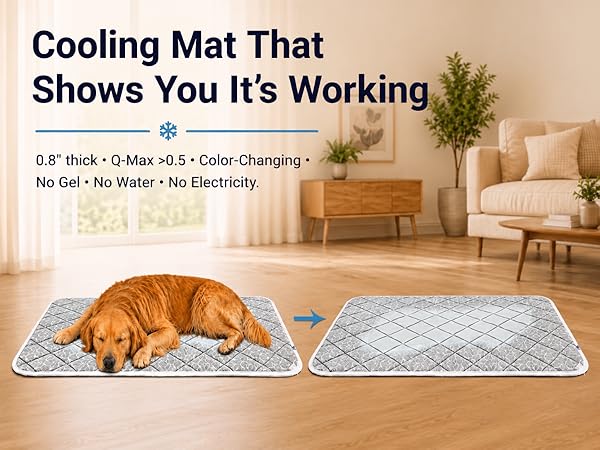 Pawrush dog cooling mat with visible proof through color changing