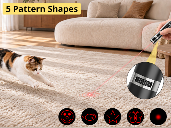 cat toy
