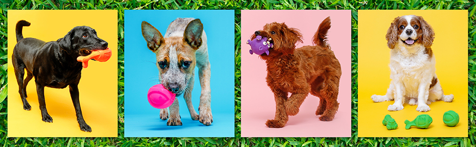 DuraPlay dogs