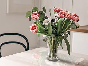 Clear placemats