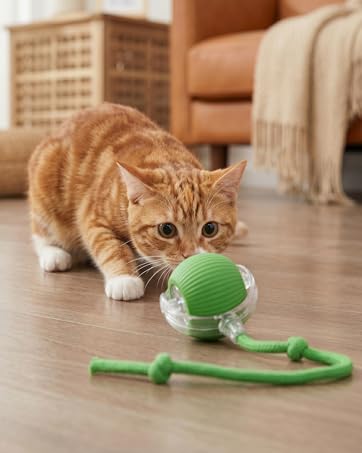 Motion sensor cat toy: active rolling ball for cats, automated exercise toy with blue light.