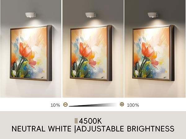 lights for pictures on wall