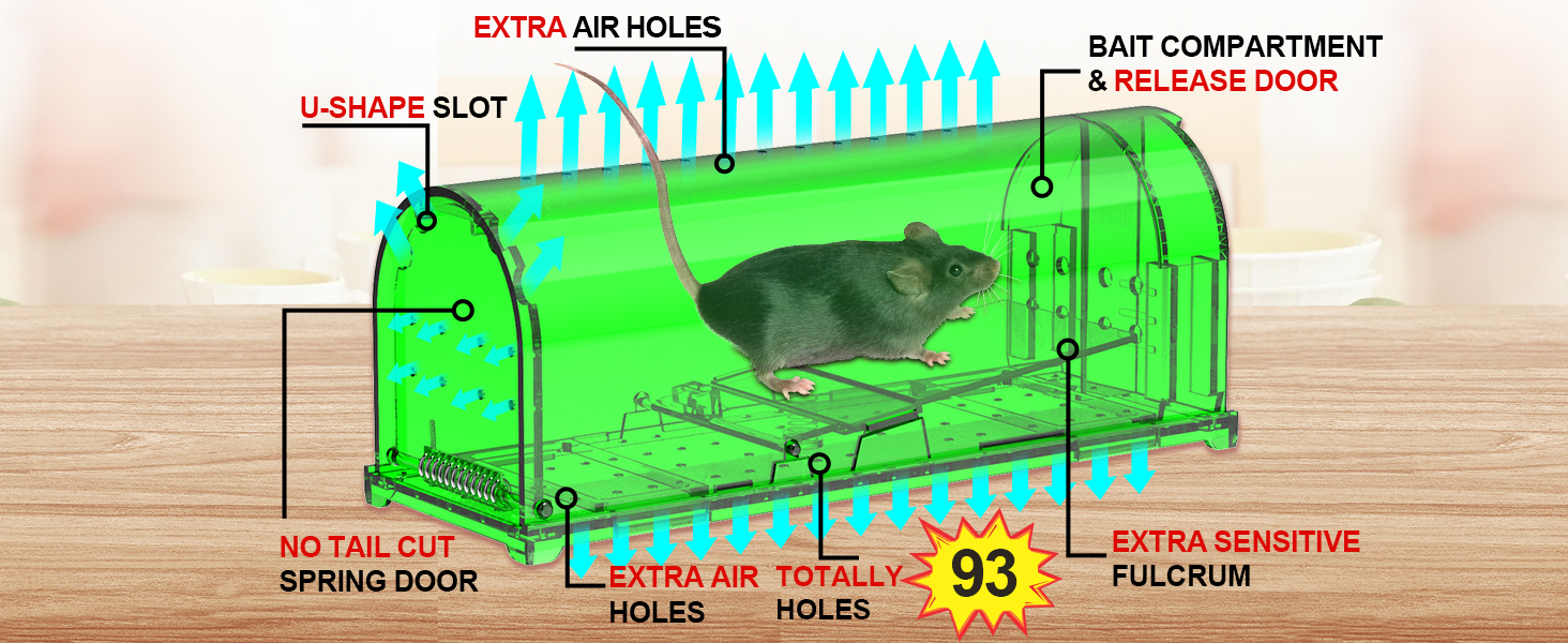 Mouse Traps
