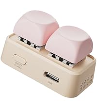 https://m.media-amazon.com/images/S/aplus-media-library-service-media/d30726bd-c27a-4a02-96c2-f9237b82925f.__AC_SR200,225___.jpg